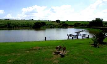 Imagem: SÍTIO RURAL em ELIAS FAUSTO - SP, CARDEAL