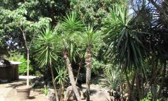 Imagem 3: CHÁCARA RESIDENCIAL em INDAIATUBA - SP, LAGOS DE SHANADU