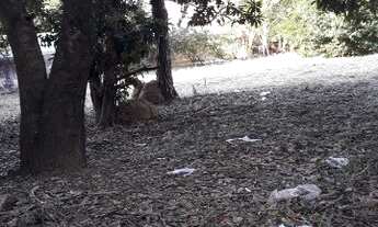 Imagem 5: TERRENO COMERCIAL em INDAIATUBA - SP, VILA SFEIR