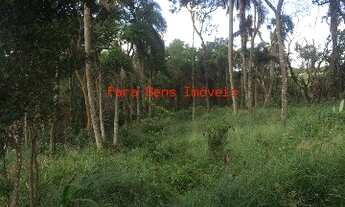 Imagem 6: SÍTIO RURAL em IBIÚNA - SP, DIAS