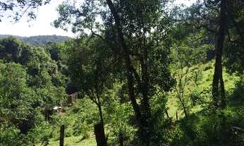 Imagem: TERRENO RURAL em IBIUNA - SP, AREIA VERMELHA