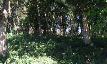 Imagem 5: TERRENO RURAL em IBIUNA - SP, AREIA VERMELHA