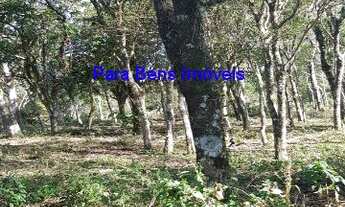 Imagem: TERRENO RURAL em IBIÚNA - SP, CENTRO