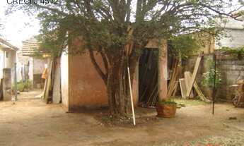 Imagem 5: CASA RESIDENCIAL em ARARAQUARA - SP, CENTRO