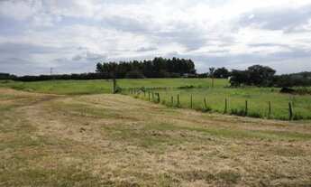 Imagem 5: ÁREA RESIDENCIAL em ARARAQUARA - SP, MACHADOS