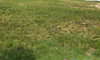 Imagem 2: Terreno plano Condominio Park Real Indaiatuba SP