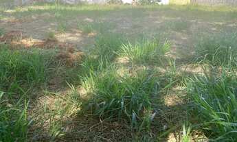 Imagem 2: Terreno à venda em Indaiatuba-SP, Chácara Areal: 575m² de área. Venha conferir!