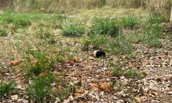 Imagem 6: VENDA DE TERRENO MISTO 324 M² COM FRENTE PARA AV. PRESIDENTE VAGAS INDAIATUBA SP ÓTIMO L