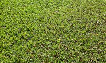 Imagem 6: TERRENO RESIDENCIAL em INDAIATUBA - SP, VILA RESIDENCIAL GREEN PARK