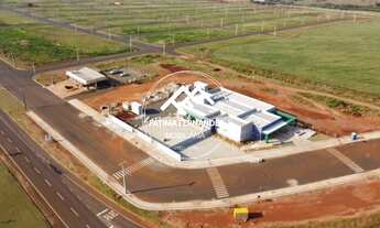 Imagem 4: Terreno à venda em Bela Vista do Paraíso-PR, Residencial Horizonte: 258m² de oportunidade