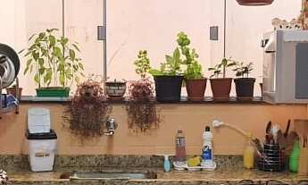 Imagem 6: Apartamento 3 quartos sendo 1 suíte no Bloco P Guara I