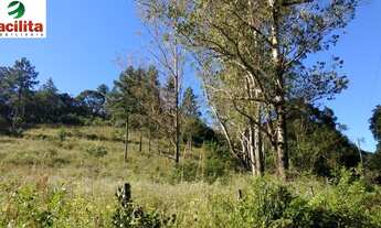 Imagem 4: VENDO CHACARA DE 41500M² EM EMBU GUAÇU (COD 4153