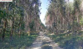 Imagem: VENDO FAZENDA MARGEADA REPRESA DE FURNAS
