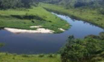 Imagem: VENDO TROCO CHACARA DE 9,7 HECTARES MARGEADO