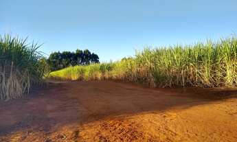 Imagem: VENDO FAZENDA DE 56 ALQ. CANA REGIAO RIBEIRAO