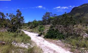 Imagem 3: VENDO FAZENDA 968 HECTARES EM CAVALCANTE-GOIAS ( 4169