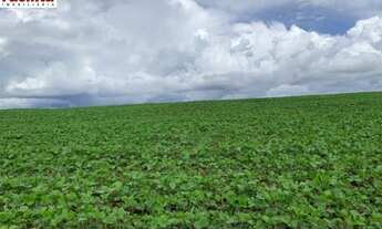 Imagem: VENDO FAZENDA 190 ALQUEIRES REGIAO DE IBIA-MG
