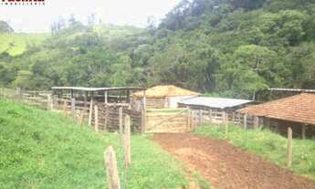 Imagem 4: VENDO FAZENDA DE 488 HEC. REGIAO TAUBATE PROXIMO ASFALTO ( 4164