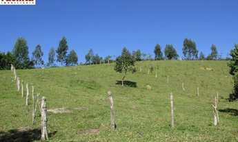 Imagem: VENDO TROCO FAZENDA 90 HECTARES EM NATIVIDADE