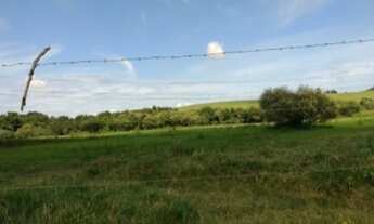 Imagem: VENDO FAZENDA DE 150 ALQUEIRES (363 HECTARES)