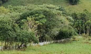 Imagem 3: VENDO BELA CHACARA 48.000m² EM PARAIBUNA ( 4244