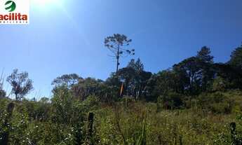 Imagem 6: VENDO CHACARA DE 41500M² EM EMBU GUAÇU (COD 4153