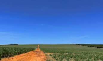Imagem: VENDO FAZENDA 1800 HEC REGIAO DE MINEIROS-GO