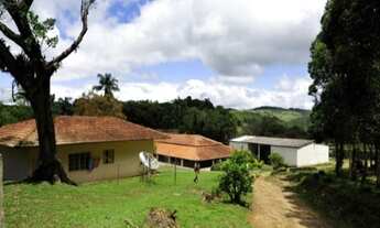 Imagem: HARAS A VENDA ESTADO DE SAO PAULO CIDADE