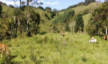 Imagem: VENDO SITIO DE 36,3 HECTARES REGIAO DE NATIVIDADE