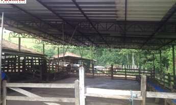 Imagem 2: VENDO FAZENDA DE 488 HEC. REGIAO TAUBATE PROXIMO ASFALTO ( 4164