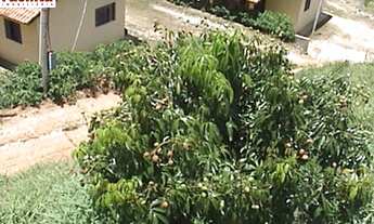 Imagem 4: VENDO SITIO AS MARGENS REPRESA PARAIBUNA (4227