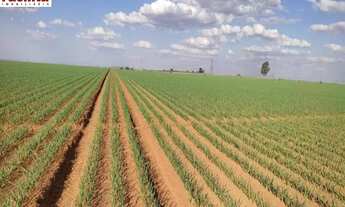Imagem: VENDO FAZENDA CULTURA REGIAO DE SANTA JULIANA-MG