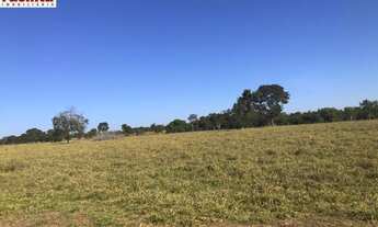 Imagem: VENDO FAZENDA 3350 hectares EM GOIÁS (6116