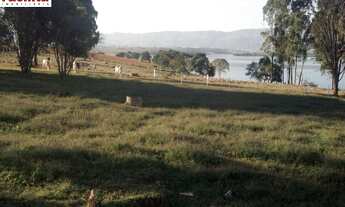 Imagem: VENDO FAZENDA PECUARIA E CULTURA EM PASSOS