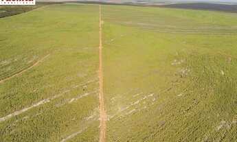 Imagem 3: VENDO FAZENDA 1800 HEC REGIAO DE MINEIROS-GO (6119