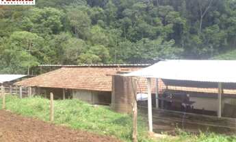 Imagem 5: VENDO FAZENDA DE 488 HEC. REGIAO TAUBATE PROXIMO ASFALTO ( 4164