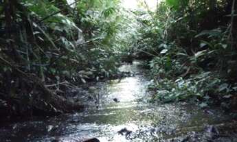 Imagem 4: VENDO TROCO FAZENDA 90 HECTARES EM NATIVIDADE DA SERRA (4160