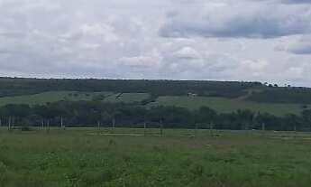 Imagem: VENDO FAZENDA REGIÃO DE PARANATINGA OTIMO