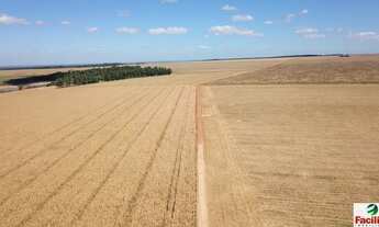 Imagem: VENDO FAZENDA DUPLA APTIDÃO REGIAO DE PARANATINGA