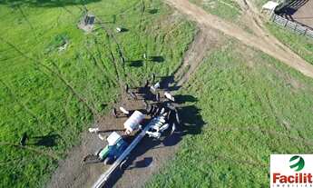 Imagem 4: VENDO FAZENDA REGIÃO DE PARANATINGA OTIMO PRAZO (6123