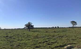 Imagem 6: VENDO FAZENDA DUPLA APTIDÃO REGIAO DE PARANATINGA ( 6129