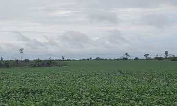 Imagem 3: VENDO FAZENDA DUPLA APTIDÃO REGIAO DE TERRA NOVA DO NORTE-MT ( 6137