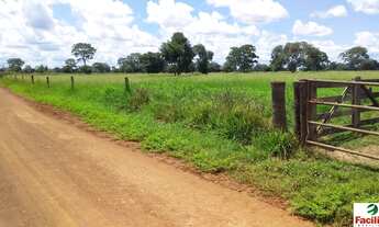 Imagem 2: VENDO FAZENDA FORMADA PECUARIA REGIAO DE COCALINHO (6132