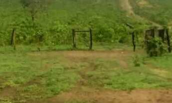 Imagem: VENDO FAZENDA CULTURA REGIAO DE PARANATINGA