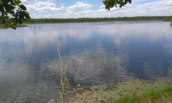 Imagem 4: VENDO FAZENDA DUPLA APTIDÃO REGIAO DE PARANATINGA ( 6129