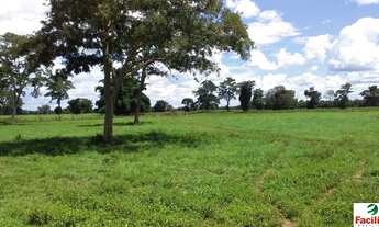 Imagem 4: VENDO FAZENDA FORMADA PECUARIA REGIAO DE COCALINHO (6132