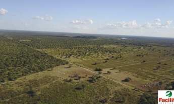 Imagem 5: VENDO FAZENDA PECUARIA REGIAO DE COCALINHO (6154