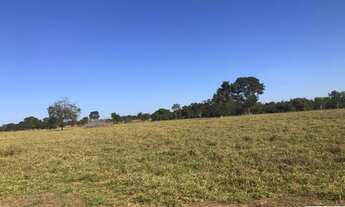 Imagem 7: VENDO FAZENDA DUPLA APTIDÃO REGIAO DE PARANATINGA ( 6129