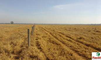 Imagem: VENDO FAZENDA REGIAO SANTIAGO DO NORTE -PRAZO