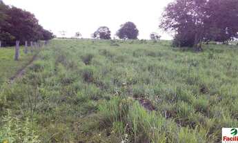 Imagem 5: VENDO FAZENDA FORMADA PECUARIA REGIAO DE COCALINHO (6132